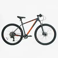 Велосипед Спортивный 29" Corso Nero, рама алюминиевая 19", оборудование LTWOO AX 12, скоростей, собран на 75%. Gray and Orange (154712)
