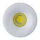 Светодиодный светильник Horoz BIANCA 3W