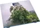 Весы напольные Monte Nature MT-6012-1 180 кг