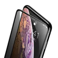 Защитное стекло Baseus для iPhone 11 Pro Max  / XS Max Curved Privacy, Black (SGAPIPH65-WC01)