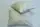 Набор летний пике 200х235 NP-13 NP200x235-13