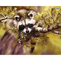 Картина по номерам "Енот на ветке" 40х50 см