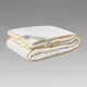 Одеяло полуторное 155х215 см Imperius Pure Line Arya AR-TR1001146