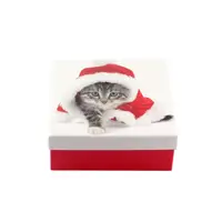 Коробка подарочная ООТВ Santa Cat 16 х 16 х 8 см