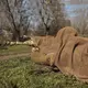 Маскирующий шарф-сетка CM SFVS Койот (7022)