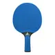 Ракетка для настольного тенниса Joola Vivid Outdoor Blue (51011)