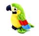 Говорящий попугай повторюшка Зеленый Parrot Talking