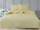 Комплект постельного белья Ivory TAG satin (evro)-493