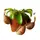 Растение хищник Непентес Хукериана AlienPlants Nepenthes "Hookeriana"
