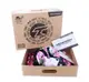 Роликовые коньки Tempish DASTY Girl/41-43