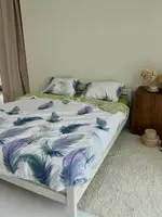 Постільна білизна двоспальне Dushka Home 21582 180х215 см
