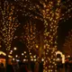 Гирлянда Нить уличная 30 (м) 300 LED черный провод Желтый CF300L30MBY