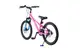 Велосипед детский RoyalBaby Chipmunk Explorer 20", OFFICIAL UA, розовый
