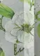 Готовая тюль (6х2,65м.) батист, коллекция "Flora". Цвет белый с салатовым. Код 1809т 42-1176