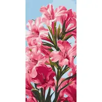 Картина по номерам "Pink flowers" 40х80 см