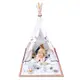 Развивающий коврик-палатка 3 в 1 Kinderkraft Tippy (KPTIPP00MUL0000)
