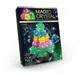 Набор для проведения опытов "MAGIC CRYSTAL" Рождественская ёлочка (рус)