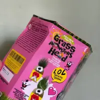 Уцінка. Набір креативної творчості "Grass Monsters Head" (укр) - Помʼята коробка
