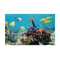 Морська Флора наклейка в акваріум 55х90 см (900х550)
