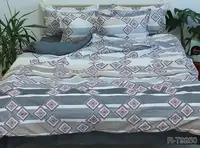 Комплект постельного белья с компаньоном R-T9250 TAG(1,5-sp)-1002