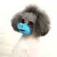 Намордник для собак Lesko SUPER SD Pets Pig Blue M силиконовый