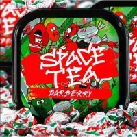 Чайная смесь Space Tea (Спейс Ти) 100 гр. - Барберри (Барбарис)