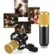 Студийный микрофон Music D.J. M800 со стойкой и ветрозащитой Black/Gold (5006)