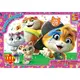 Пазлы G-Toys YT57 117 деталей