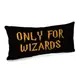 Подушка для дивана бархатная Only for Wizards 50х24 см (52BP_22U007)