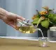 Заварочный чайник Krauff Thermoglas 26-289-005 850 мл