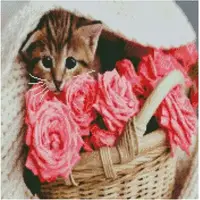 Алмазная мозаика Идейка Котик в корзинке GA0012 50х50 см