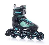 Роликовые коньки Tempish DASTY Boy/41-43