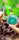Презервативы ONE Mint Chocolate (ароматизированные)(по 1 шт)(упаковка может отличаться цветом и рису
