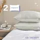 Набор подушек ТМ SEI DESIGN AIR THERAPY 50х70 см, 2 шт сірий