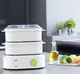Пароварка электрическая Braun FS-3000-White 850 Вт