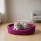Лежак для собак и котов Альфа №5 500х690х120 фуксия