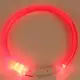 Светодиодный LED ошейник для собак с зарядкой USB, красный