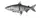 Воблер DAM Effzett Natural Whitefish 14см 30гр whitefish SU