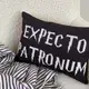 Подушка интерьерная с мешковины Expecto Patronum чорна 45x32 см (43PHB_22S001)