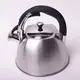 Чайник со свистком 3 л Kamille KM-0683