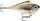 Воблер Rapala Rippin Rap (6см, 14г) (RPR06 SML)