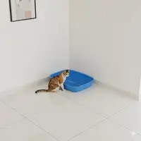 Туалет для котів