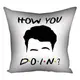 Подушка c принтом габардиновая How you doin? 40x40 см (4P_DR002)