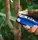 Мультитул Xiaomi NexTool Flagship Pro Blue NE20271