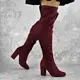 Женские ботфорты на каблуке Fashion Caitlyn 1442 39 размер 25 см Бордовый