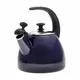Чайник со свистком Kamille KM-1040D 2.5 л черный