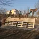 Практичная медальница из фанеры