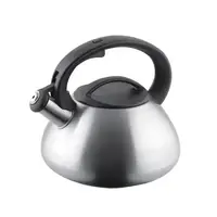 Чайник со свистком на 3 л Сon Brio СB-405-M