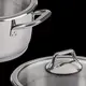 Кастрюля с крышкой Lessner Buono 55881-20 20 см 3.15 л серебристый