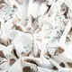 Ткань бязь ранфорс для постельного белья, хлопок, 130 гр/м2, 240 см 9.27731/21 Вьюнок кофе